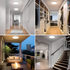 Pametna WiFi LED plafonska lampa
