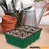 Set za rasad i klijanje biljaka sa podesivom ventilacijom – rs-mangoshop.com